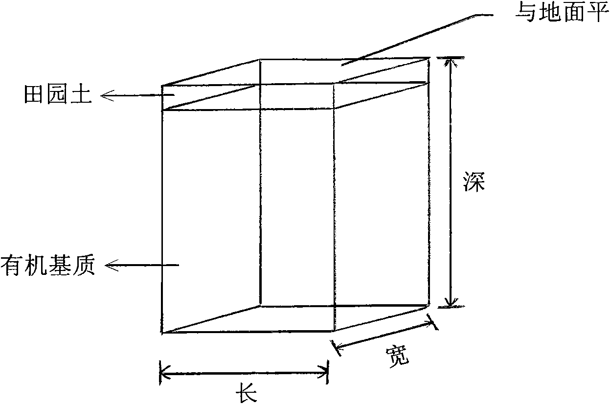 Fertilizer applying method for improving tea garden soil aqueous vapor fertilizer environment