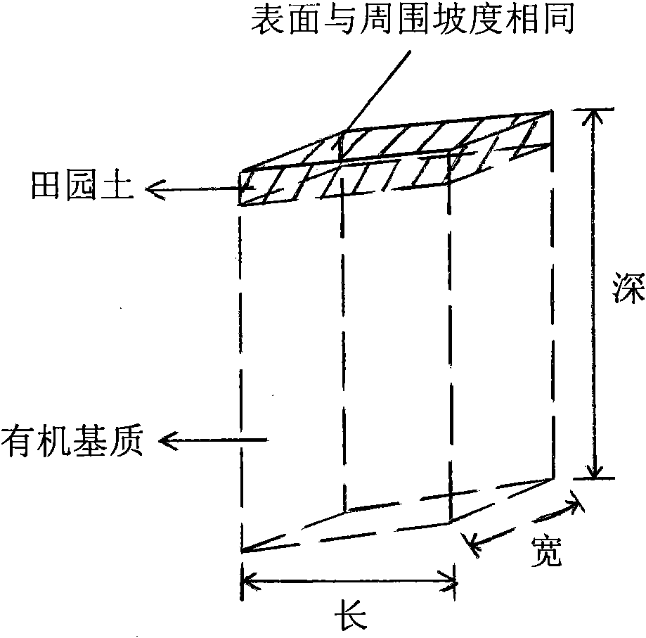 Fertilizer applying method for improving tea garden soil aqueous vapor fertilizer environment