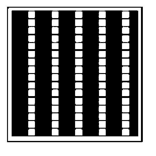 Super-resolution differential interference phase contrast microscopic imaging system and microscopic imaging method