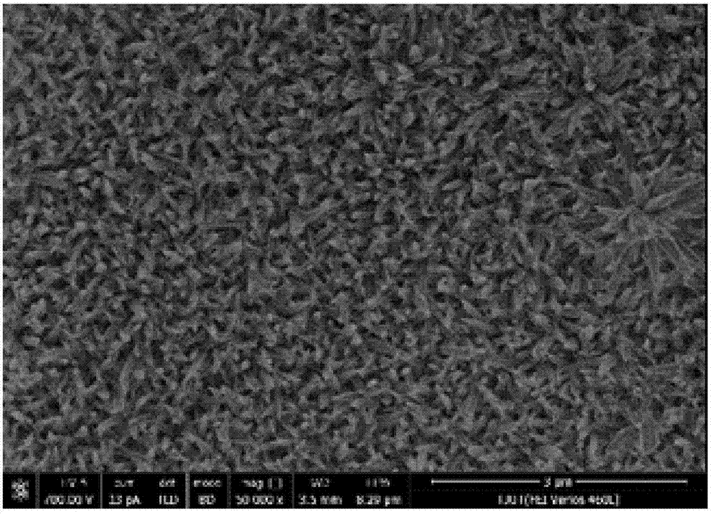 MOFs compound film, preparation method and application thereof