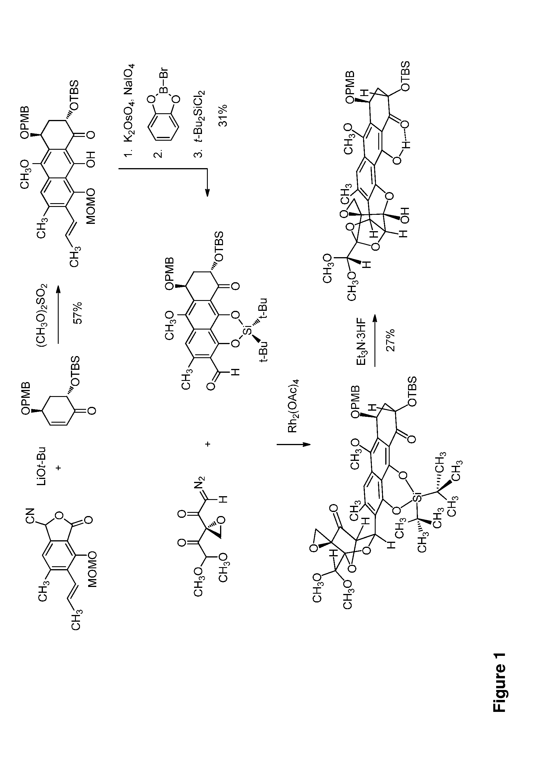 Trioxacarcins, trioxacarcin-antibody conjugates, and uses thereof