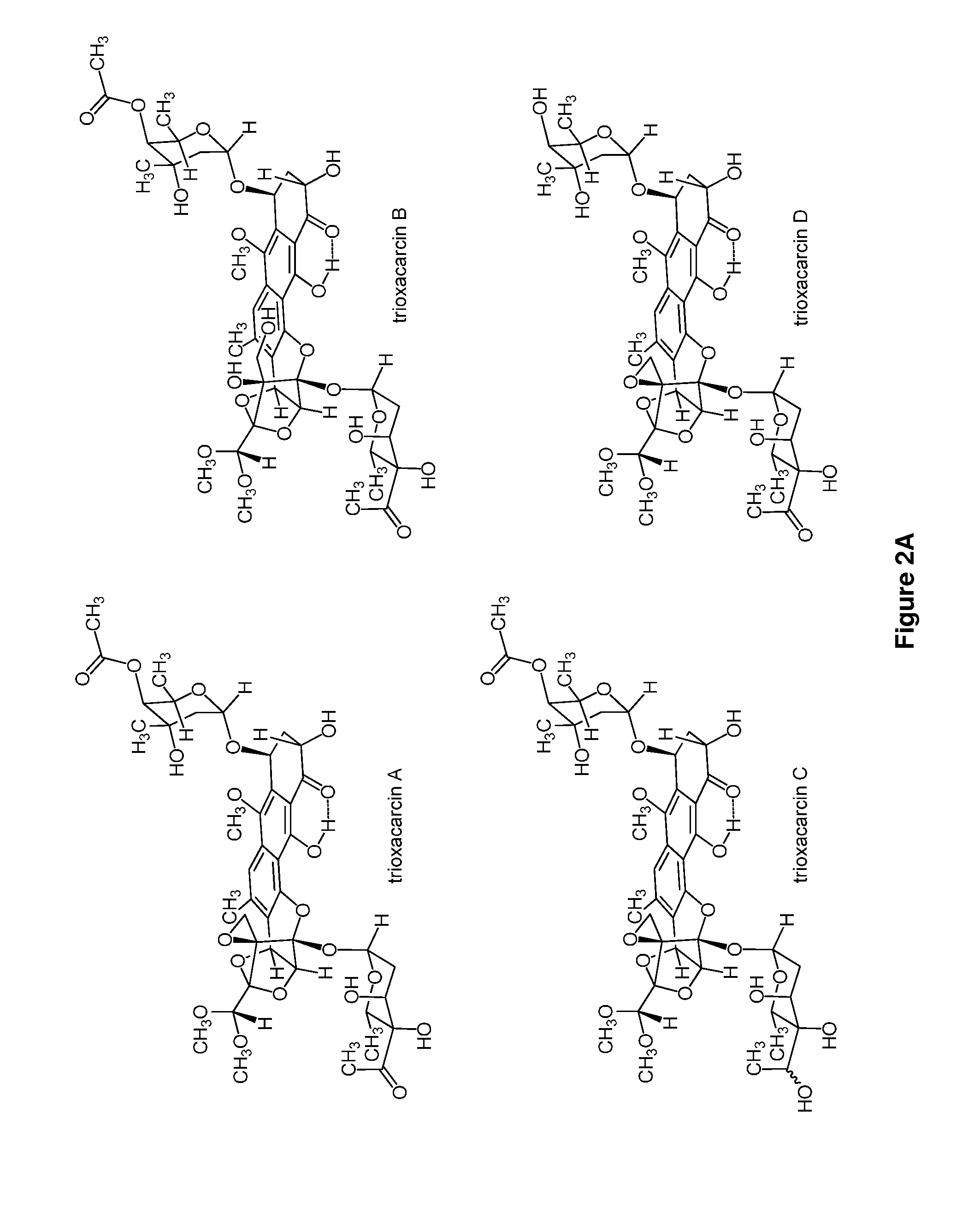 Trioxacarcins, trioxacarcin-antibody conjugates, and uses thereof