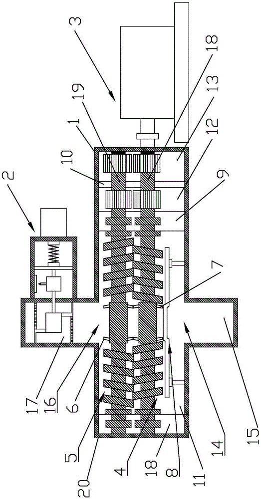 Flow controllable two-screw pump