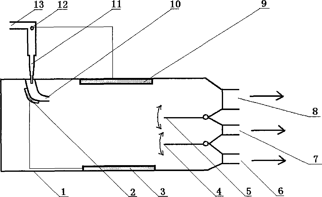 Injection type electrostatic sorting method and apparatus