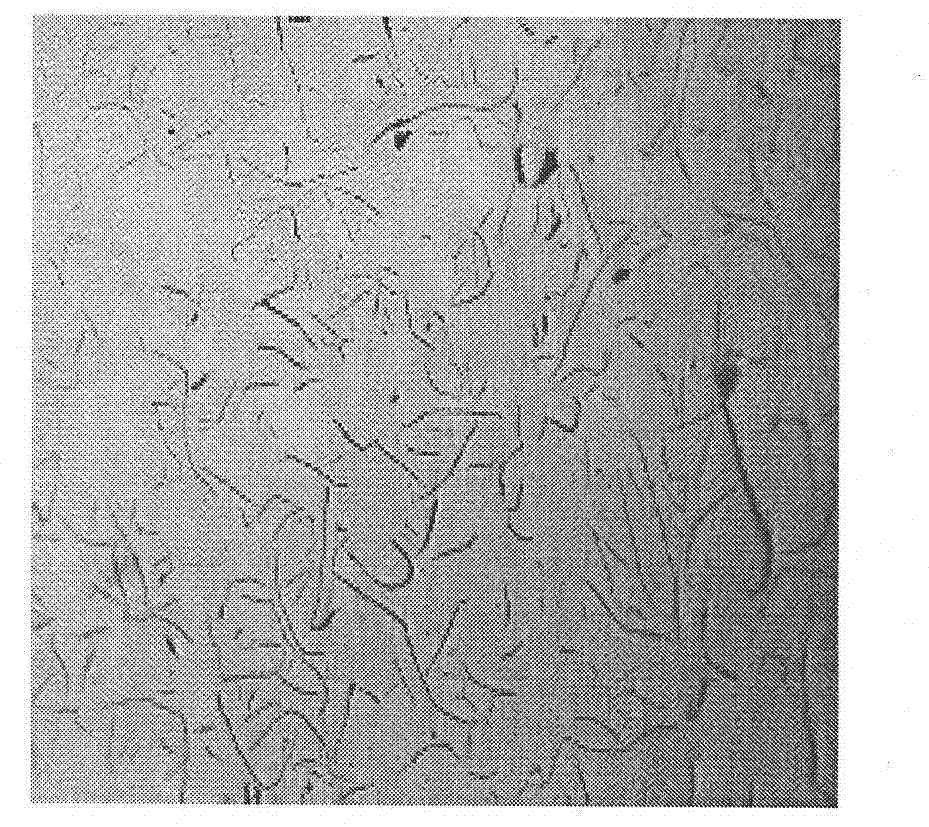 Cylinder liner with high strength and wear resistance and manufacturing method thereof