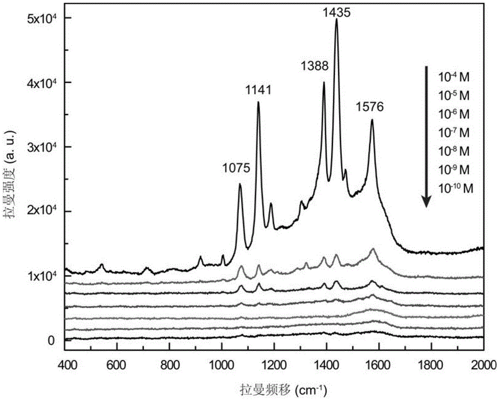 Surface enhanced raman scattering substrate and preparation method thereof