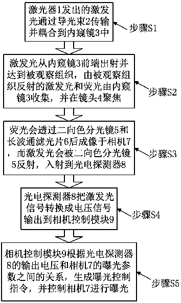 Fluorescence navigation system based on photometric feedback and intraoperative fluorescence navigation adjustment method thereof