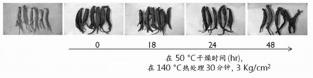 Preparation method for novel red ginseng using reduced-pressure drying after high temperature high pressure process