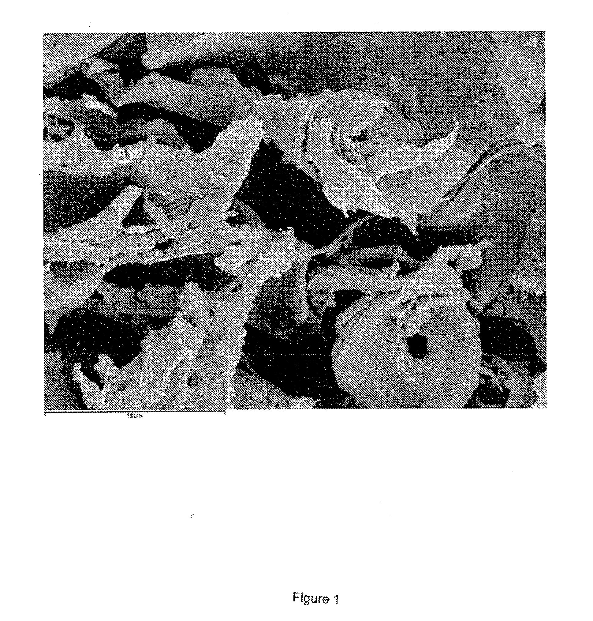 Polymeric material of photosynthetic origin comprising particulate inorganic material