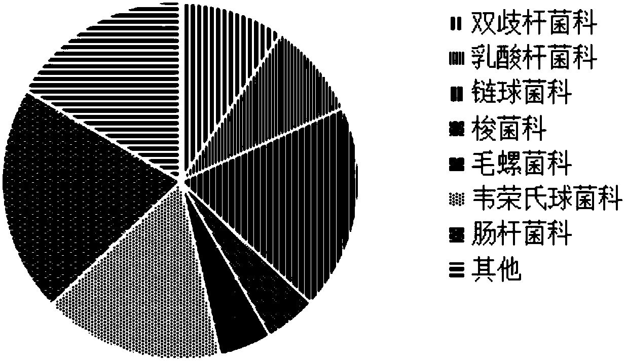 Breast milk oligosaccharide composition for improving intestinal flora abundance and fecal odor of infants and application thereof