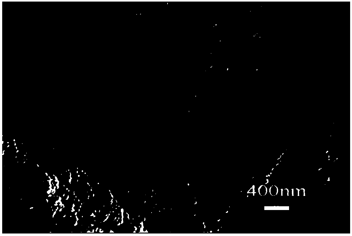 Super-hydrophobic composite coating, and preparation method and application thereof