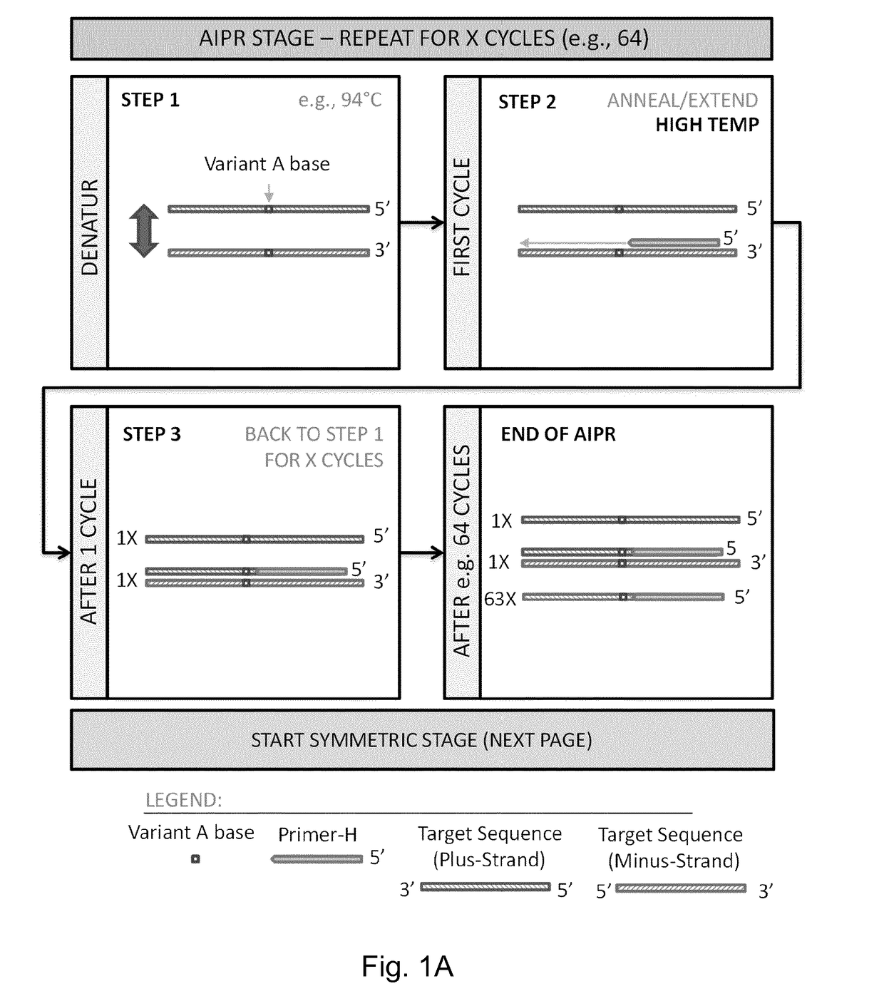 Detection of Target Nucleic Acid Variants