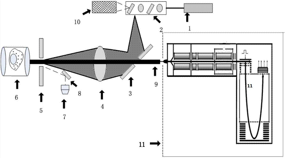 Super-resolution biomolecular mass spectrometry imaging device and working method thereof