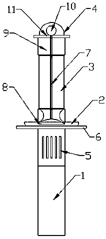 Novel bird feeder