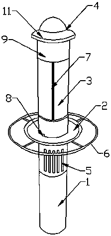 Novel bird feeder