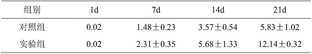 Method for in-vitro expansion of CD8&lt;+&gt;T cells