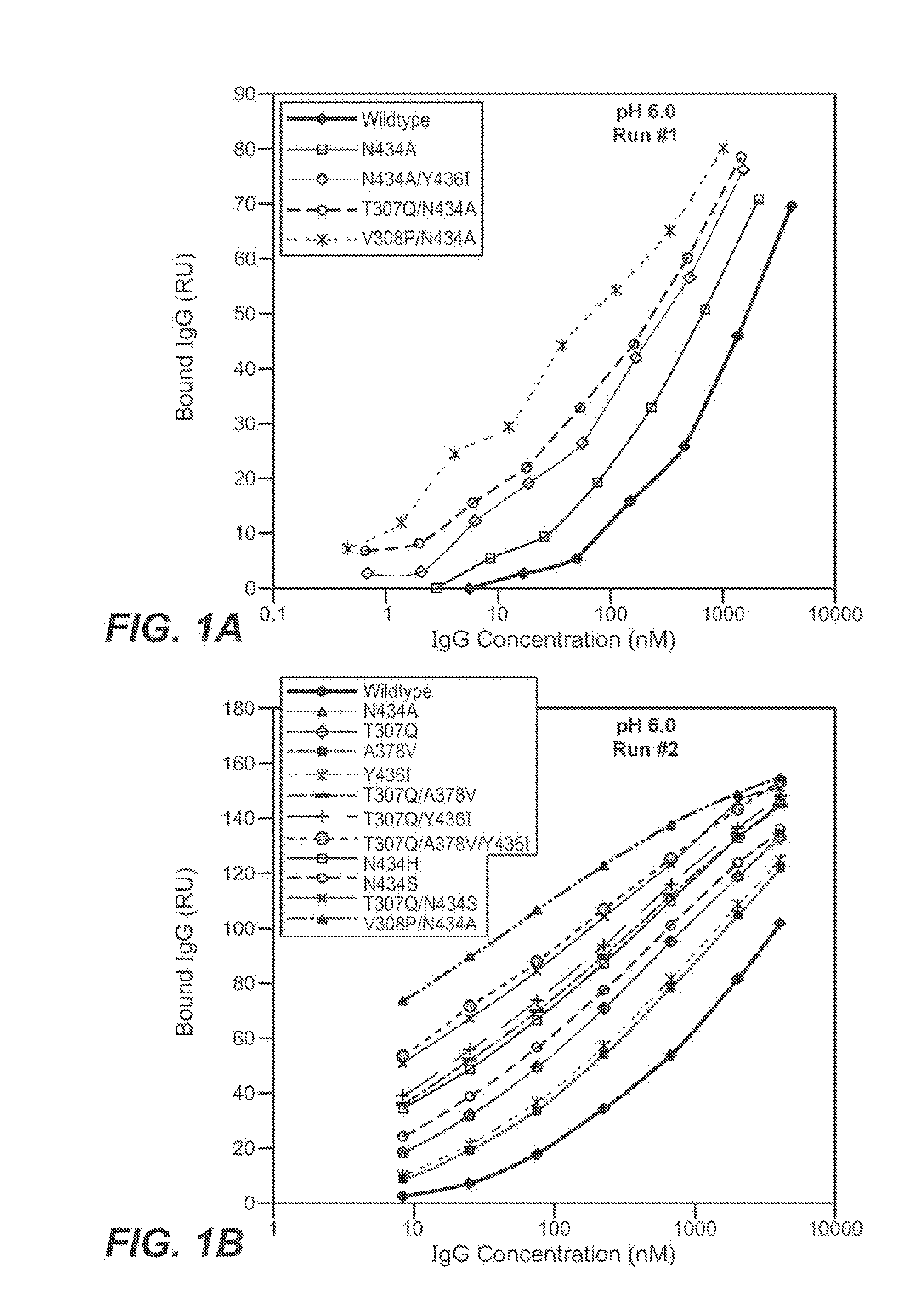 Immunoglobulin variants and uses thereof