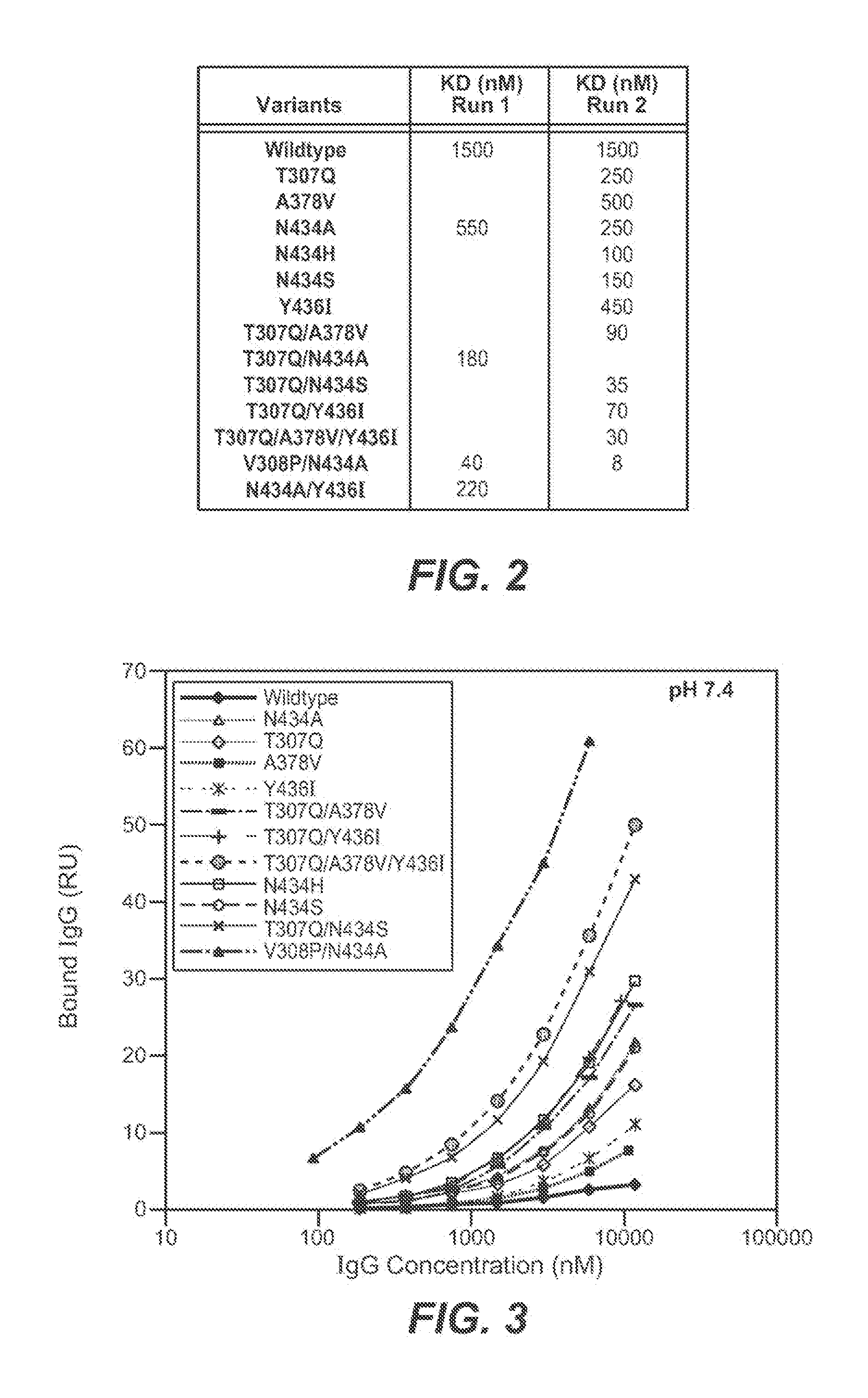 Immunoglobulin variants and uses thereof