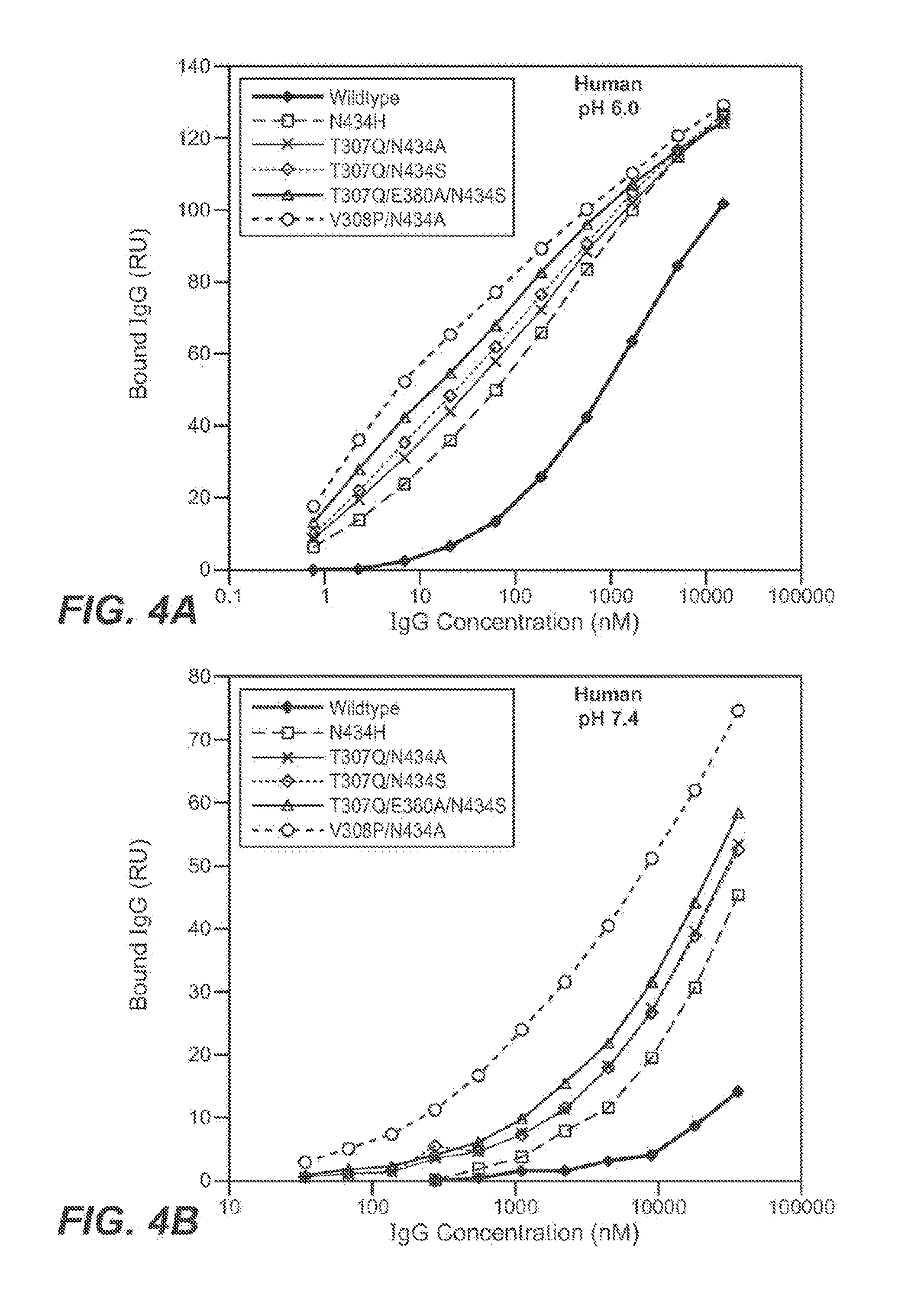 Immunoglobulin variants and uses thereof