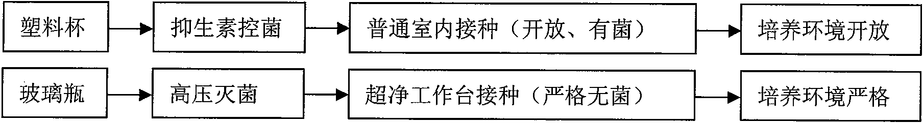 Rapid propagation technology with open tissue culture for xanthoceras sorbifolia bunge