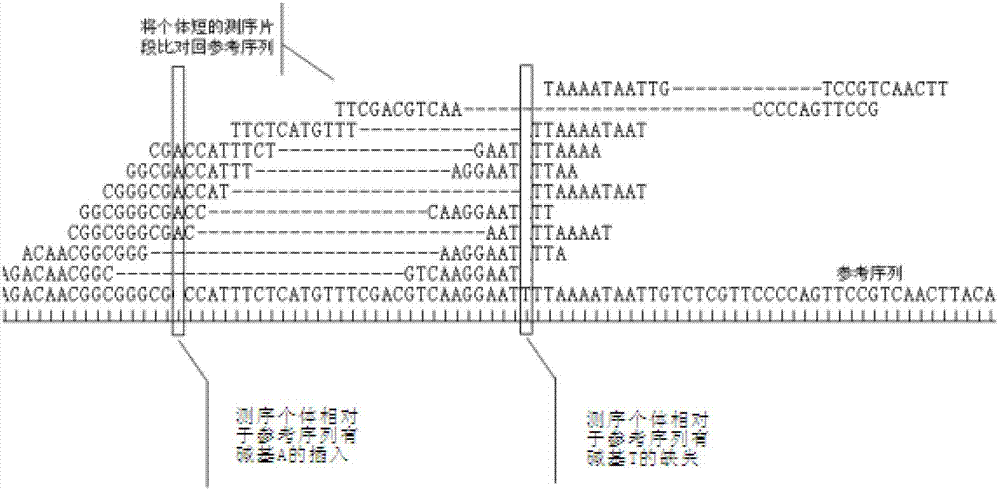 Primer design developing method of length polymorphism sign based on restriction enzyme digestion database-establishing pair-end sequencing