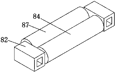 Camellia seed screening device for oil-tea camellia processing