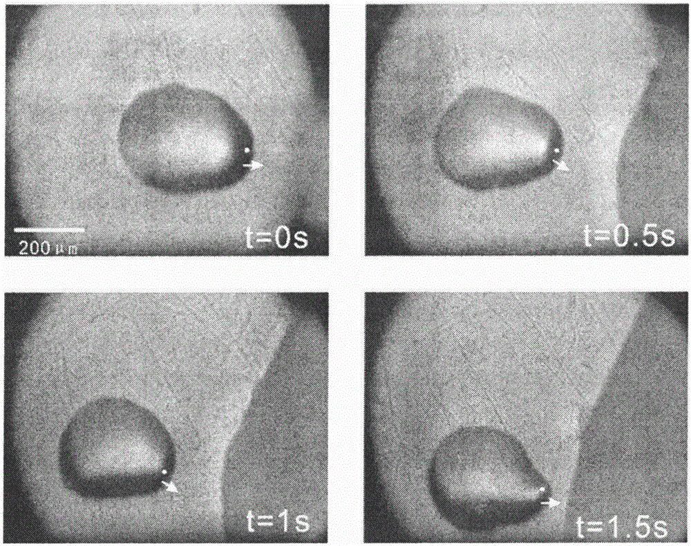 Real-time controllable micro-liquid-drop transportation method based on C-shaped cut lithium niobate chip