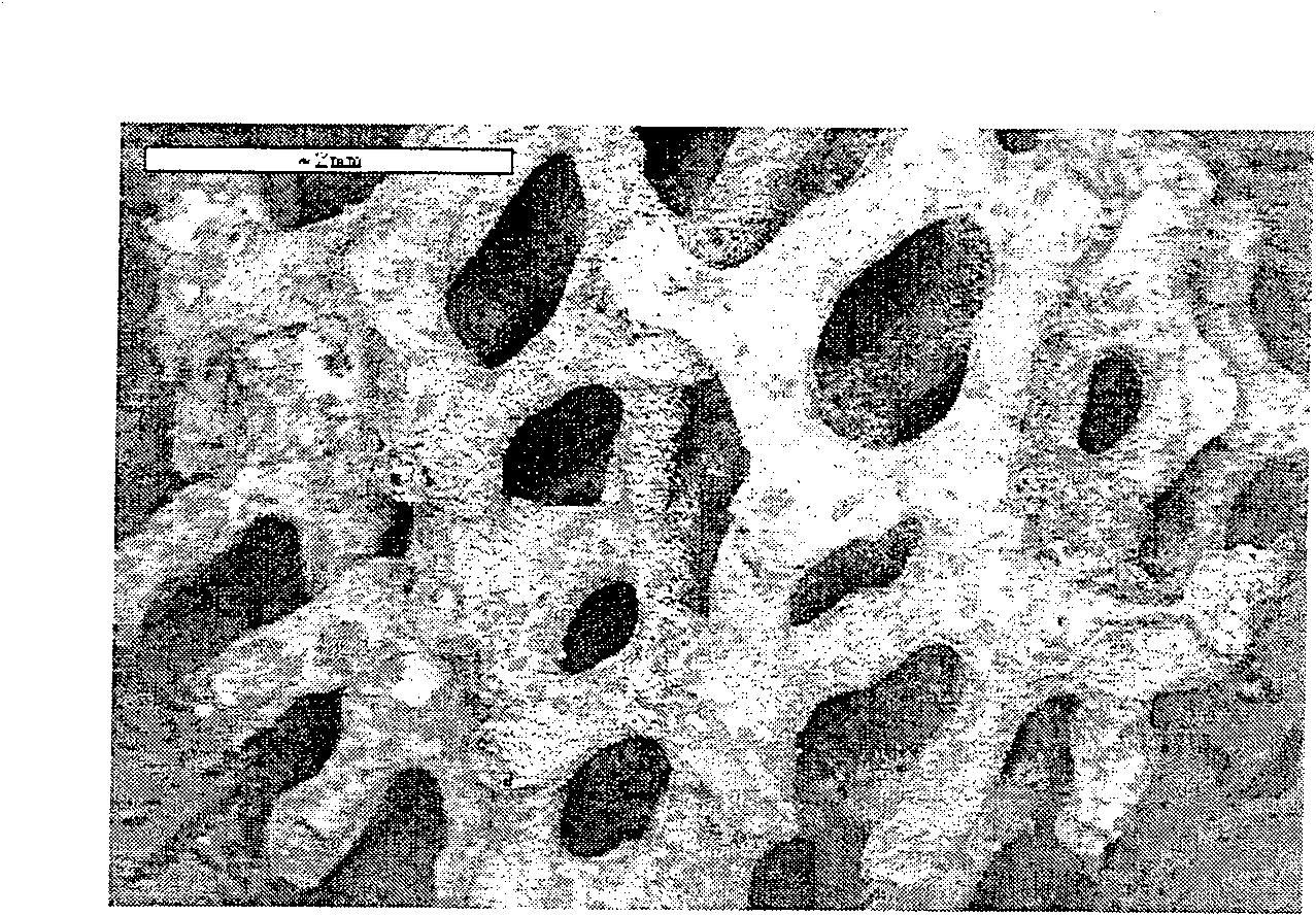 High heat conductivity and high strength density heterogeneous foamed SiC/Cu material and its preparing method