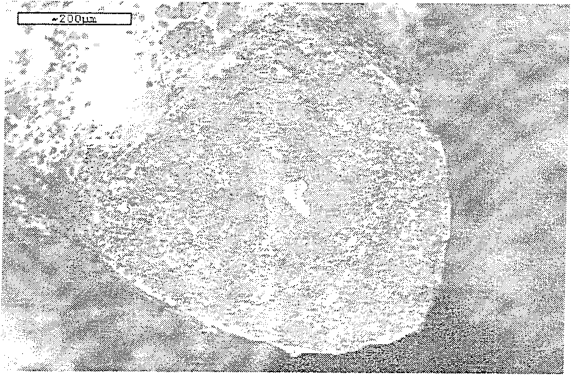 High heat conductivity and high strength density heterogeneous foamed SiC/Cu material and its preparing method