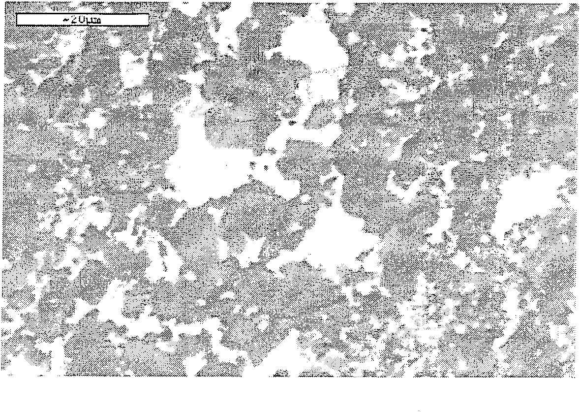 High heat conductivity and high strength density heterogeneous foamed SiC/Cu material and its preparing method