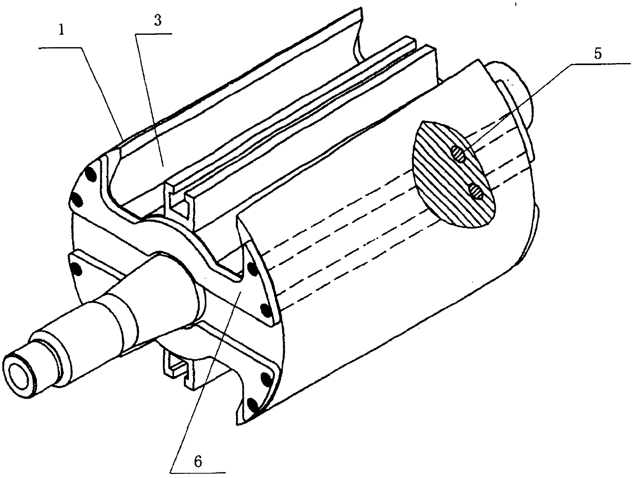 Small-sized two-pole single-phase generator