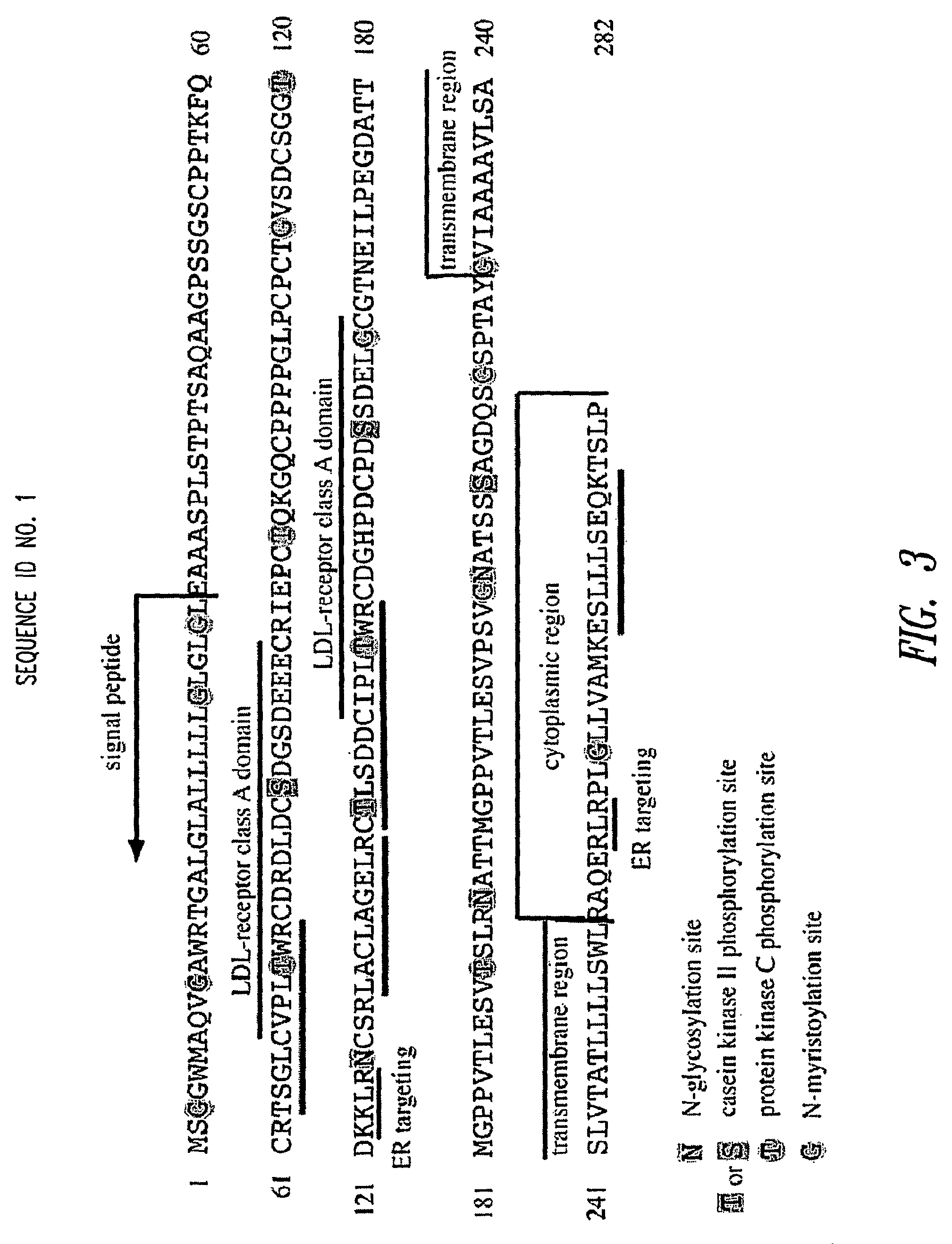 Transcobalamin receptor polypeptides, nucleic acids, and modulators thereof, and related methods of use in modulating cell growth and treating cancer and cobalamin deficiency