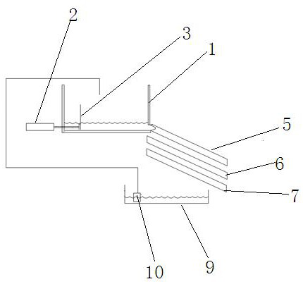 An orientation and sorting device for spindle-shaped live fish