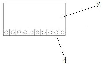 An orientation and sorting device for spindle-shaped live fish