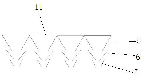 An orientation and sorting device for spindle-shaped live fish