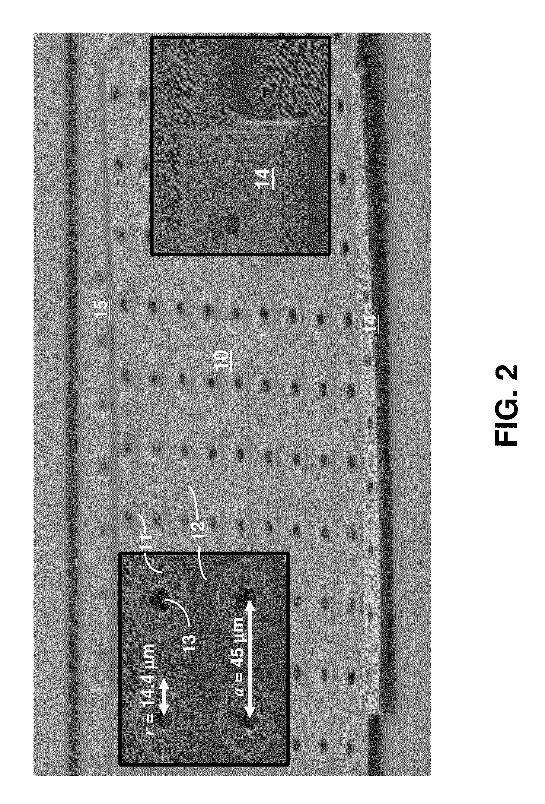 Microfabricated bulk wave acoustic bandgap device