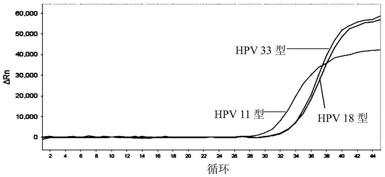 Nucleic acid detection kit for human papillomavirus and method and application thereof