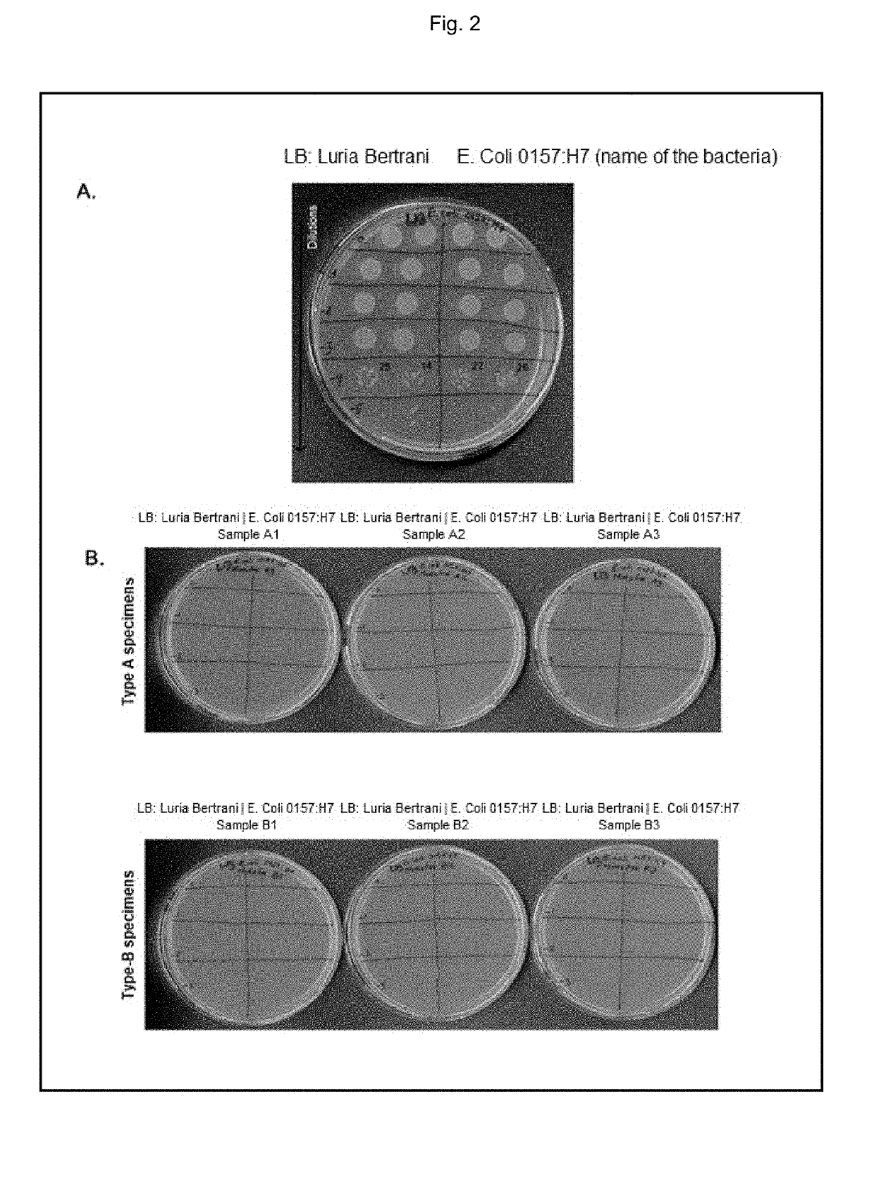 Antimicrobial composition for coating surfaces