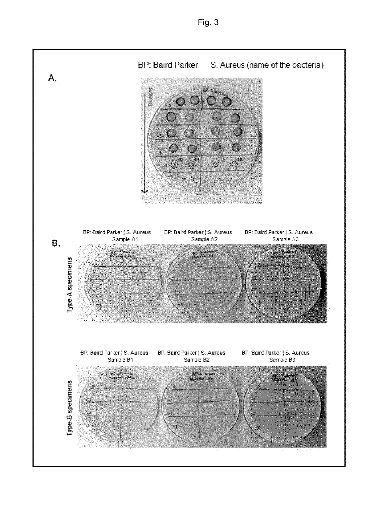 Antimicrobial composition for coating surfaces