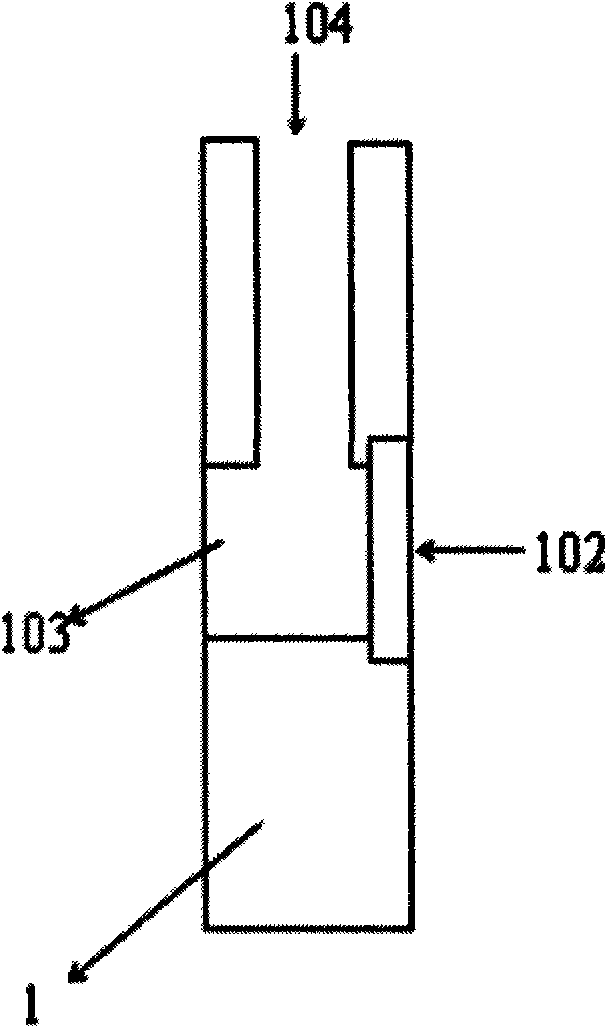 Device for inducing periodical domain reversal of ferroelectric crystal by laser interference