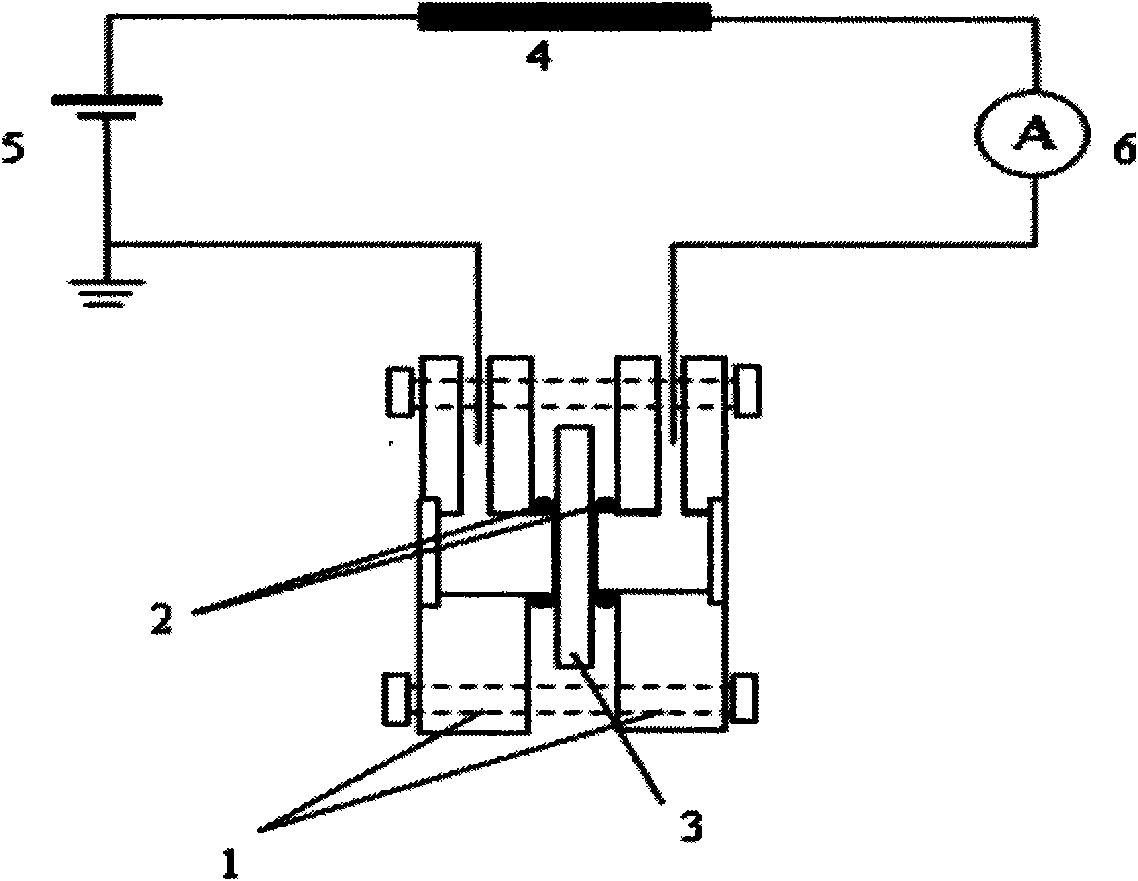 Device for inducing periodical domain reversal of ferroelectric crystal by laser interference