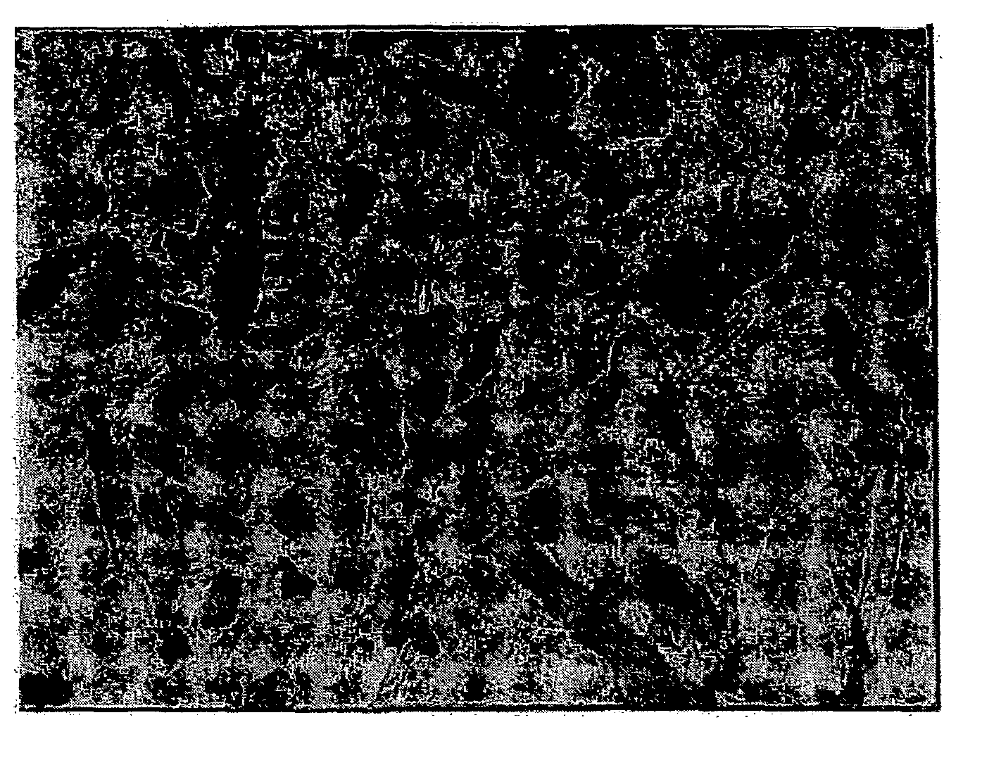 Spherical catalyst for olefin polymerization