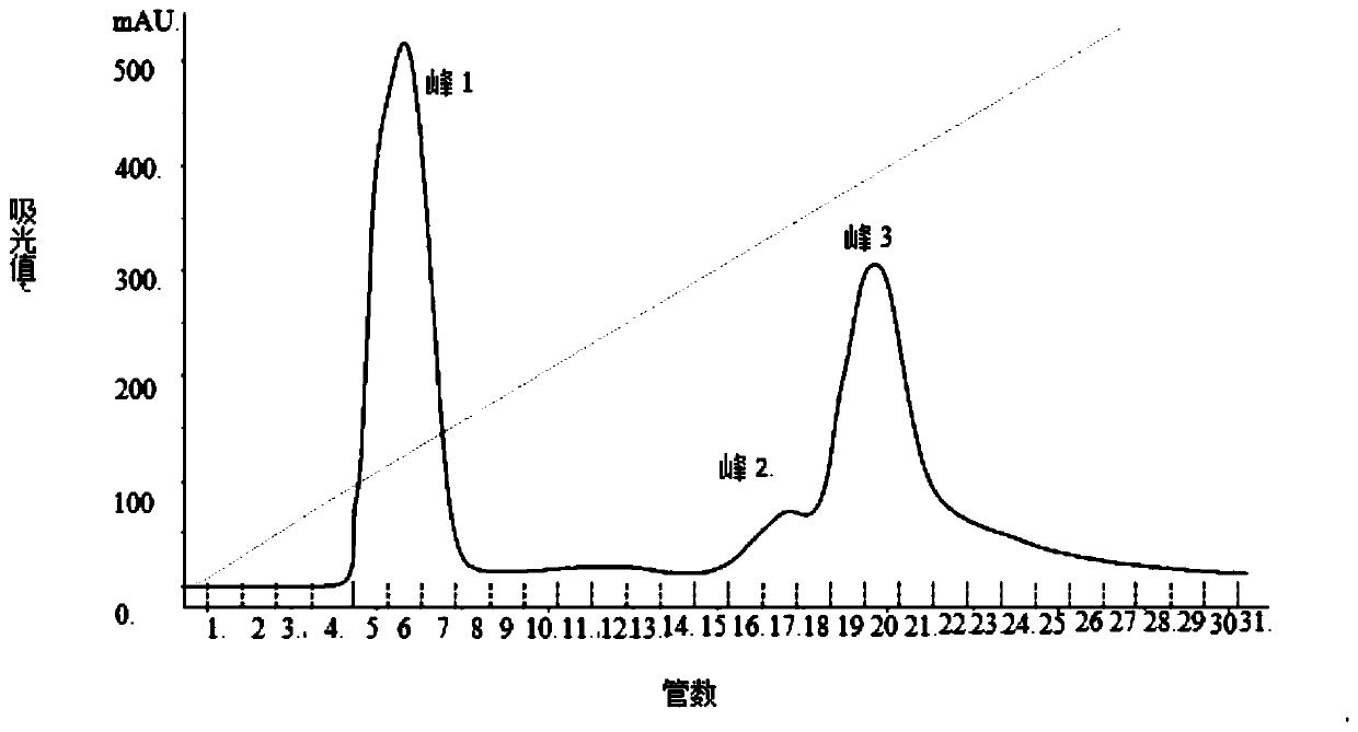 A preparation method of anticoagulant peptide of P. bidentata