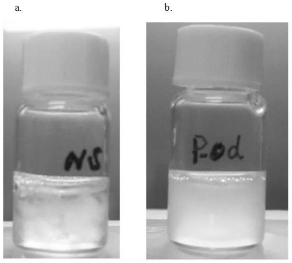 Viscous biological sample digestive agent and preparation method thereof