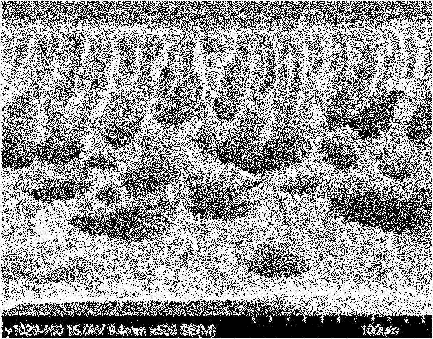 Method for preparing polymer heterogeneous Fenton-like catalyst-polyvinylidene fluoride (PVDF) catalytic membrane