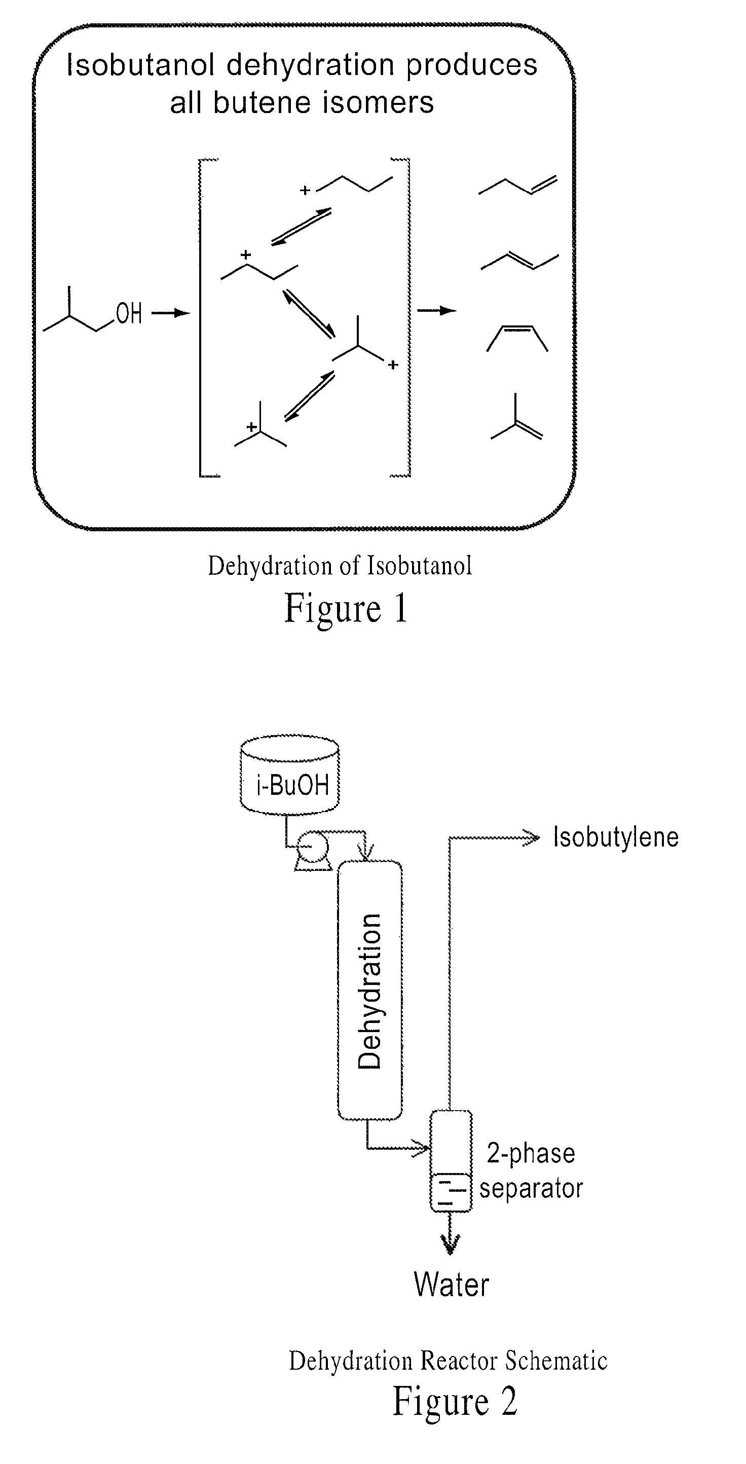 Integrated methods of preparing renewable chemicals