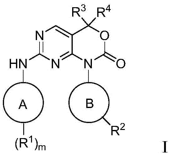 Pyrimido-[4, 5-d] [1, 3] oxazine-2-ketone derivative serving as EGFR (epidermal growth factor receptor) inhibitor and application of derivative