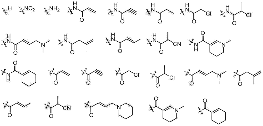 Pyrimido-[4, 5-d] [1, 3] oxazine-2-ketone derivative serving as EGFR (epidermal growth factor receptor) inhibitor and application of derivative