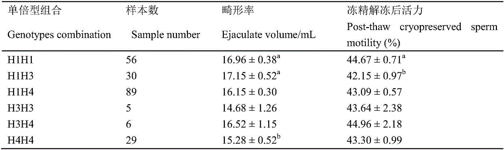 SNP (single-nucleotide polymorphism) sites related to thawed stud bull frozen semen activity and deformity rate and application thereof