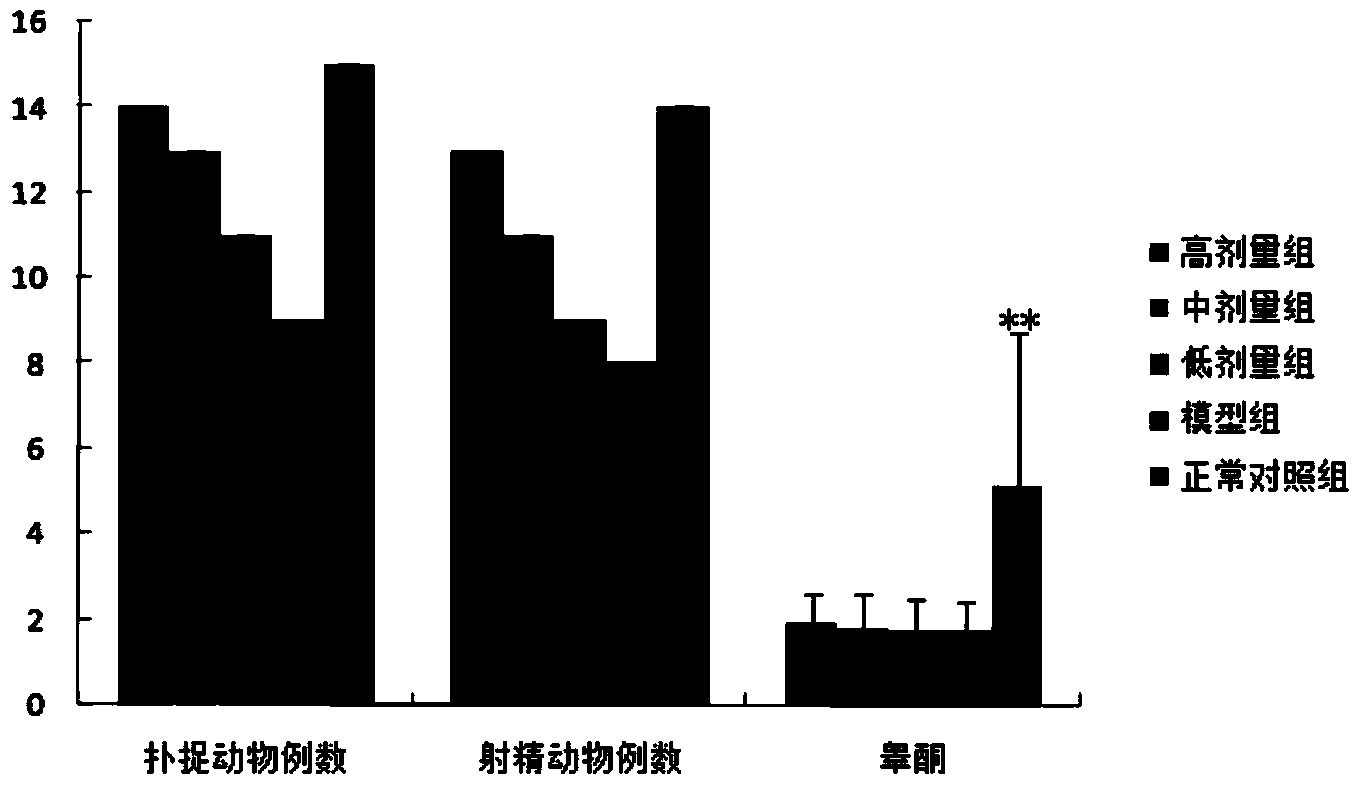 Composite functional beverage, preparation method and application thereof